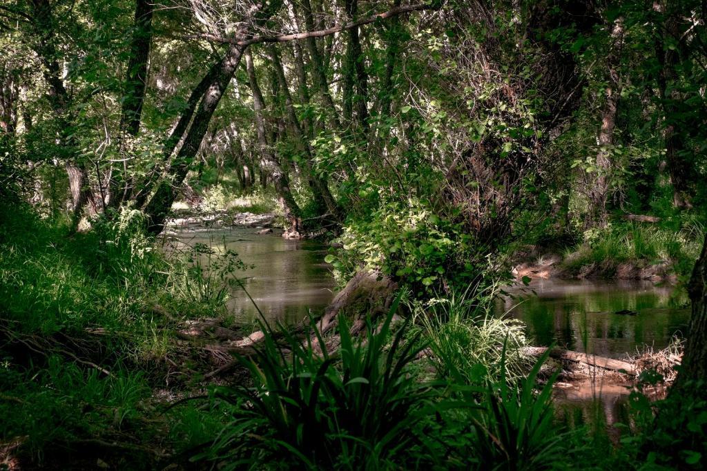 Апартаменти El Molino Del Corcho Касалья-де-ла-Сьєрра Екстер'єр фото